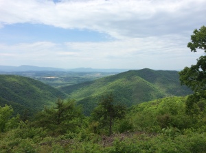 Another great view from The Blue Ridge Parkway.